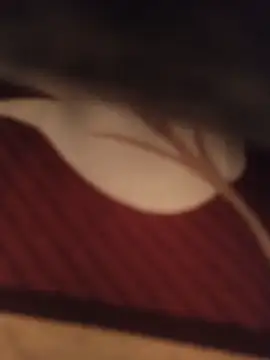 Gujjuuboys live sex cam