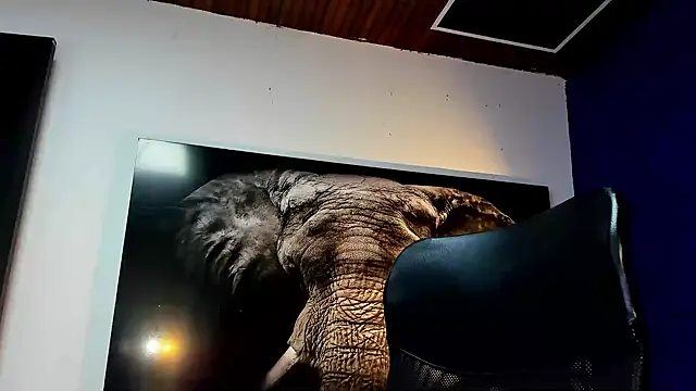 king_falconer live sex cam