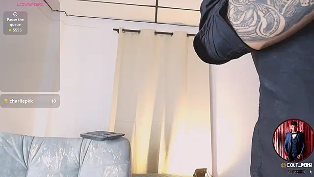 Colt_Perci live sex cam