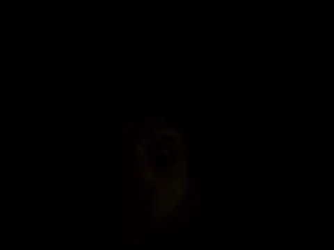 Playfulcubb live sex cam