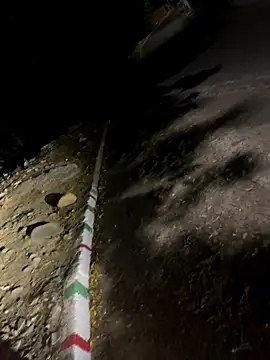 royalgirls_x live sex cam