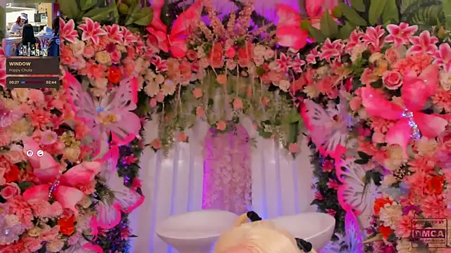 SpicySluts live sex cam