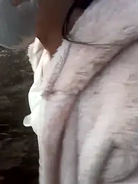 nat-tri live sex cam