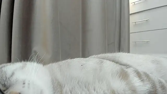 yuna_loon live sex cam