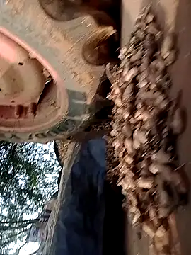 Rs_sonam live sex cam