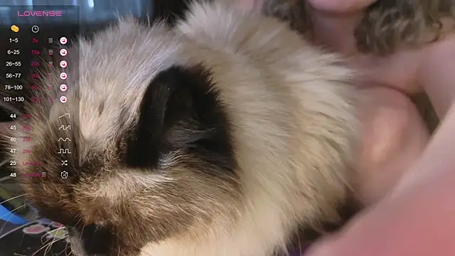 CutieGoose live sex cam