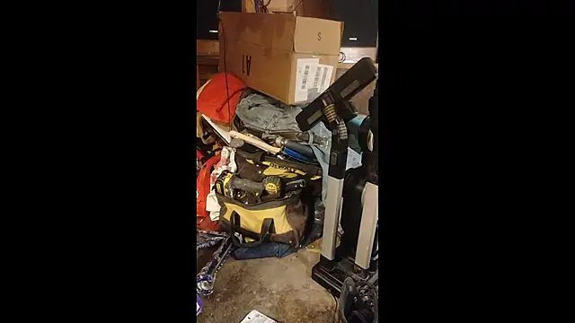 ROBERT0516 live sex cam