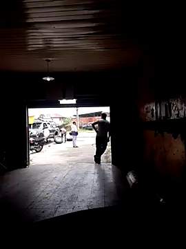 hecwil8 live sex cam