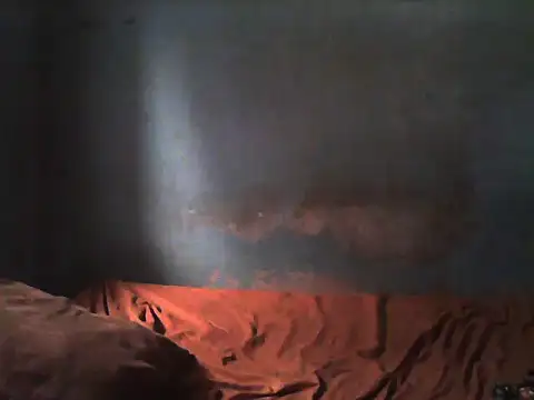 little__joy live sex cam