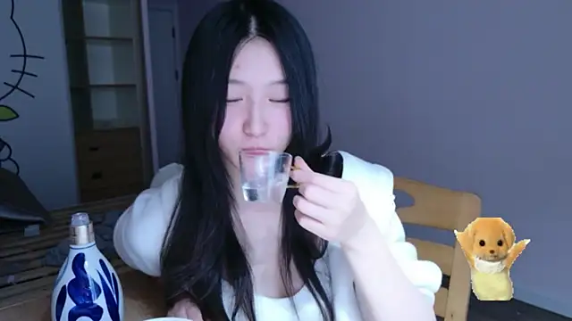 ZhaoZhaoDaWang live sex cam