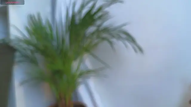 Tommyfoxboy live sex cam