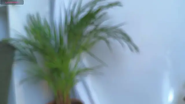 Tommyfoxboy live sex cam