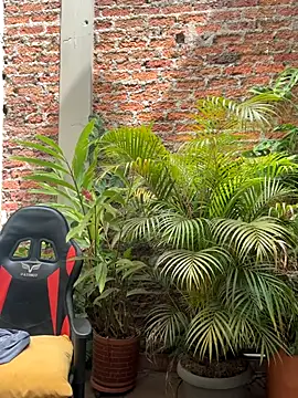 Mike_savage3 live sex cam