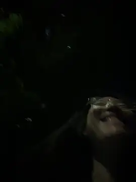 yourkeer live sex cam