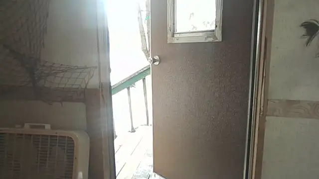 Yankeedave420 live sex cam