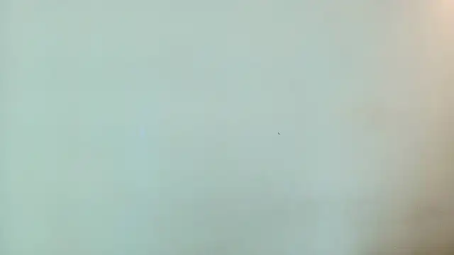 NOHA_CRAYG live sex cam