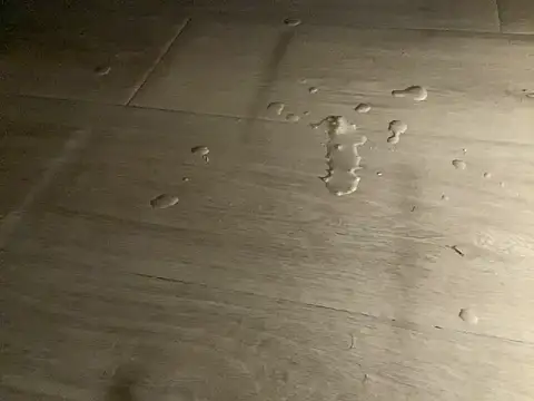 SalesmanAlan live sex cam