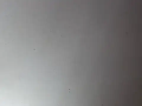 Valentina_bss live sex cam