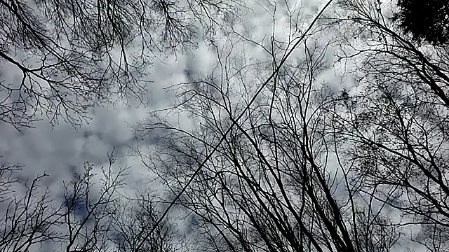 Bi_curious86 live sex cam