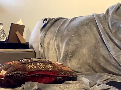 Insurance-03 live sex cam