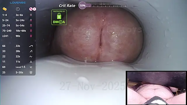 controlmytoys live sex cam