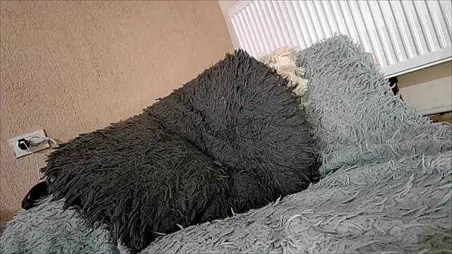 curvyana69 live sex cam