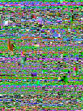 Camila_pinkk live sex cam