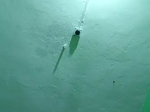 RADHAHO live sex cam