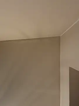 Crevette311 live sex cam