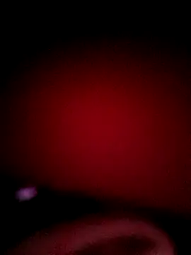 PaulinaLondra2 live sex cam