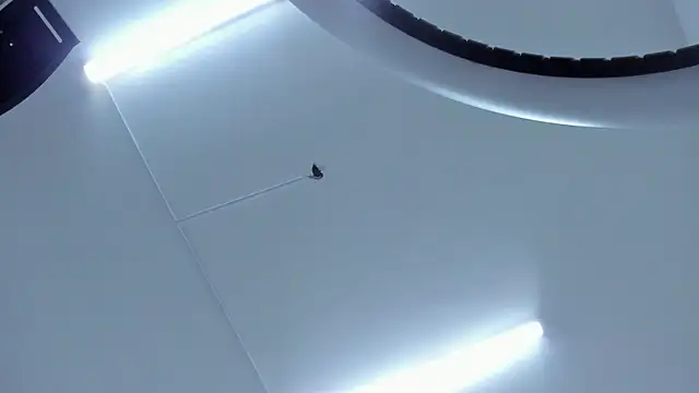 angelswets live sex cam