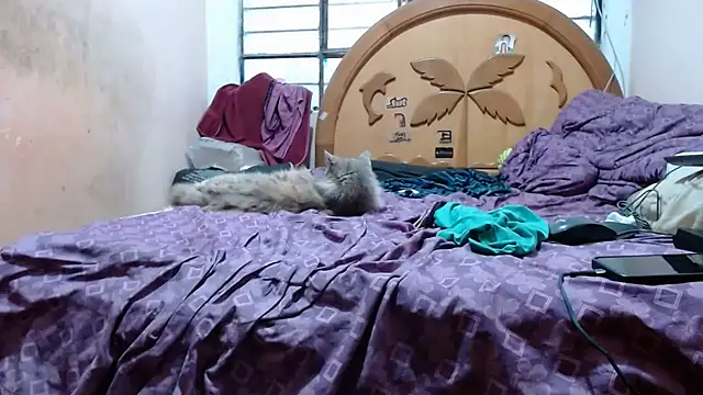 nakedlima live sex cam