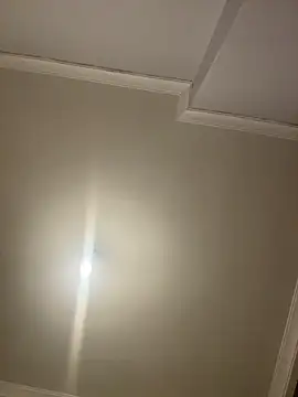 eddy355 live sex cam