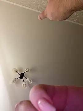 Poly_Nick live sex cam