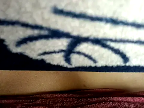 PrabV0319 live sex cam