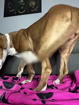 CurlyGirl_1 live sex cam