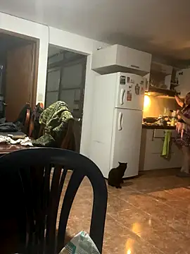 Freya_Artemisa live sex cam