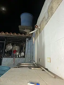 MrLeoLatino live sex cam