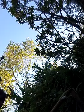 siusiu-00 live sex cam