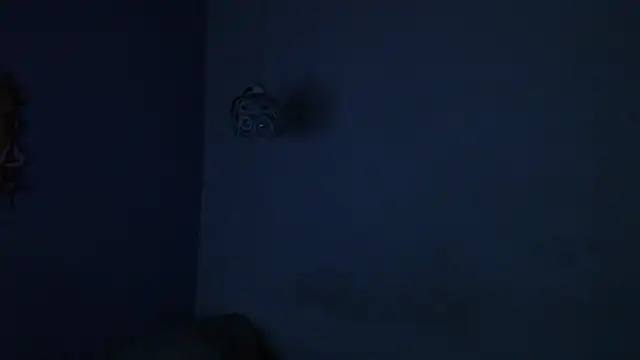 onixandghosty1 live sex cam