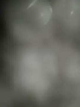 Realverse live sex cam