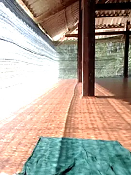 Georgia_here's cam snapshot