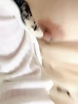 msde77's cam snapshot