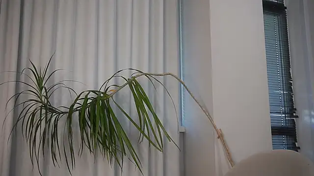 BrittGupton's cam snapshot