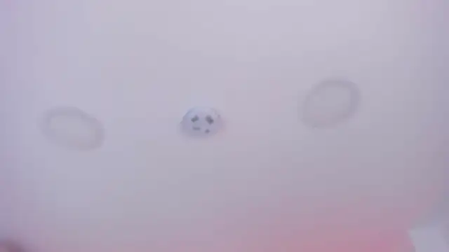 Haily_b's cam snapshot