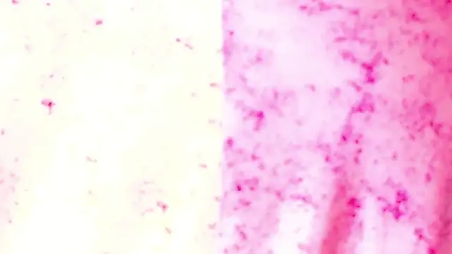 Hurrem99's cam snapshot