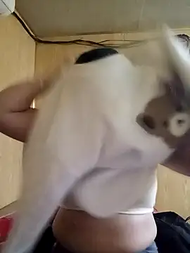 -lab-'s cam snapshot