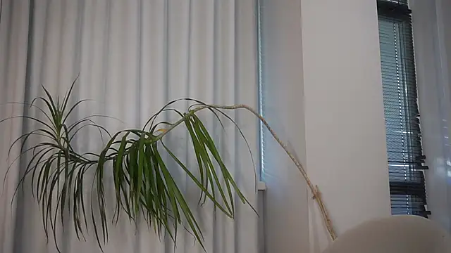 BrittGupton live sex cam