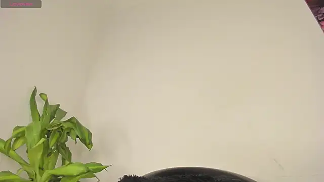 Lucy_shen_ live sex cam