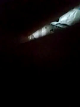 Mirellafoss's cam snapshot